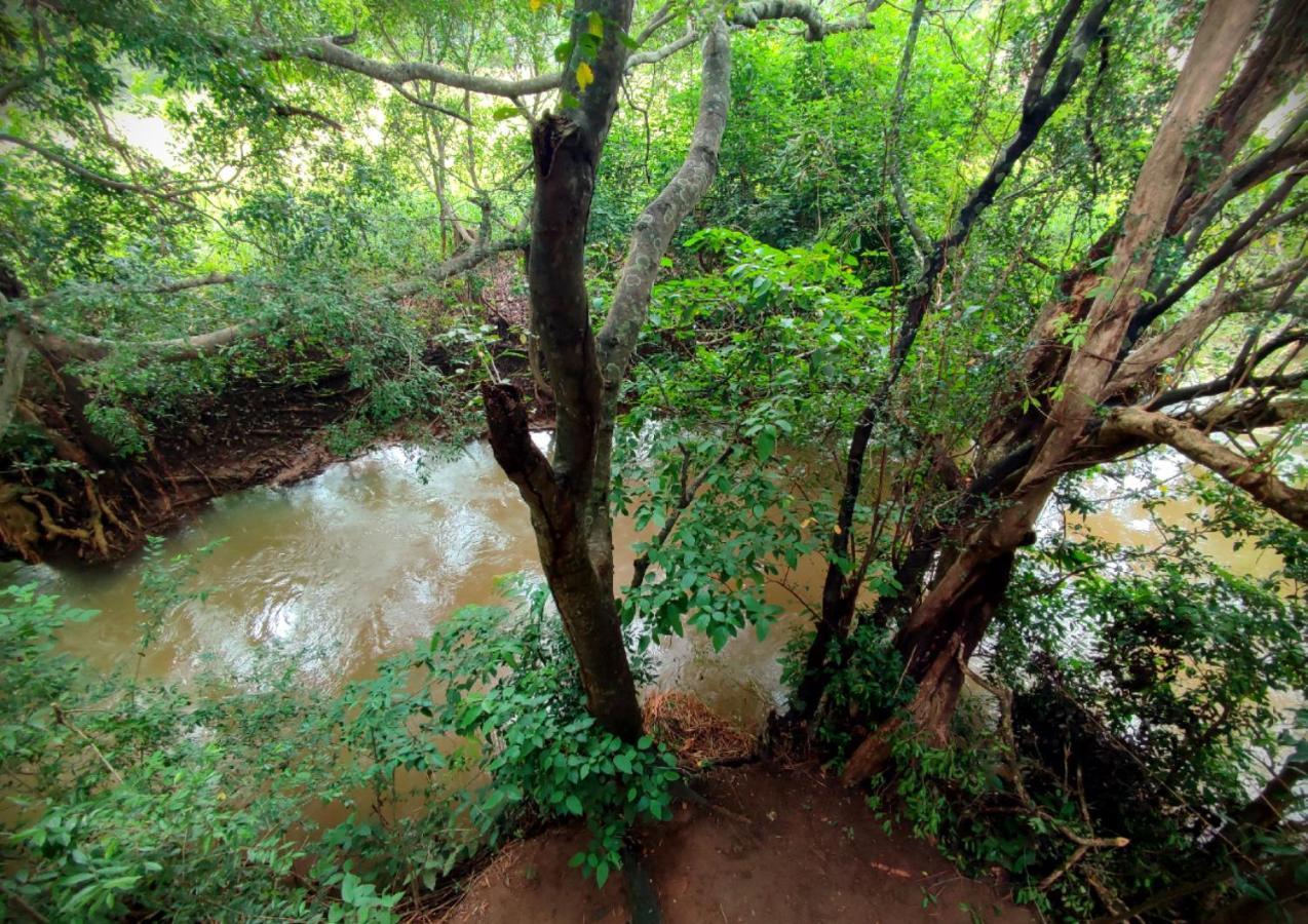 Sigiriya River Side Villa Bagian luar foto