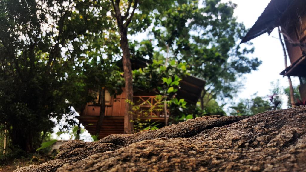 Sigiriya River Side Villa Bagian luar foto